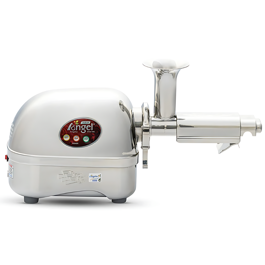 Angel 5500 Cold Press Slow Juicer